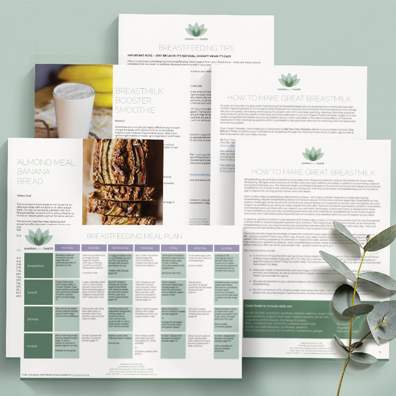 Breastfeeding eBook & Meal Plan