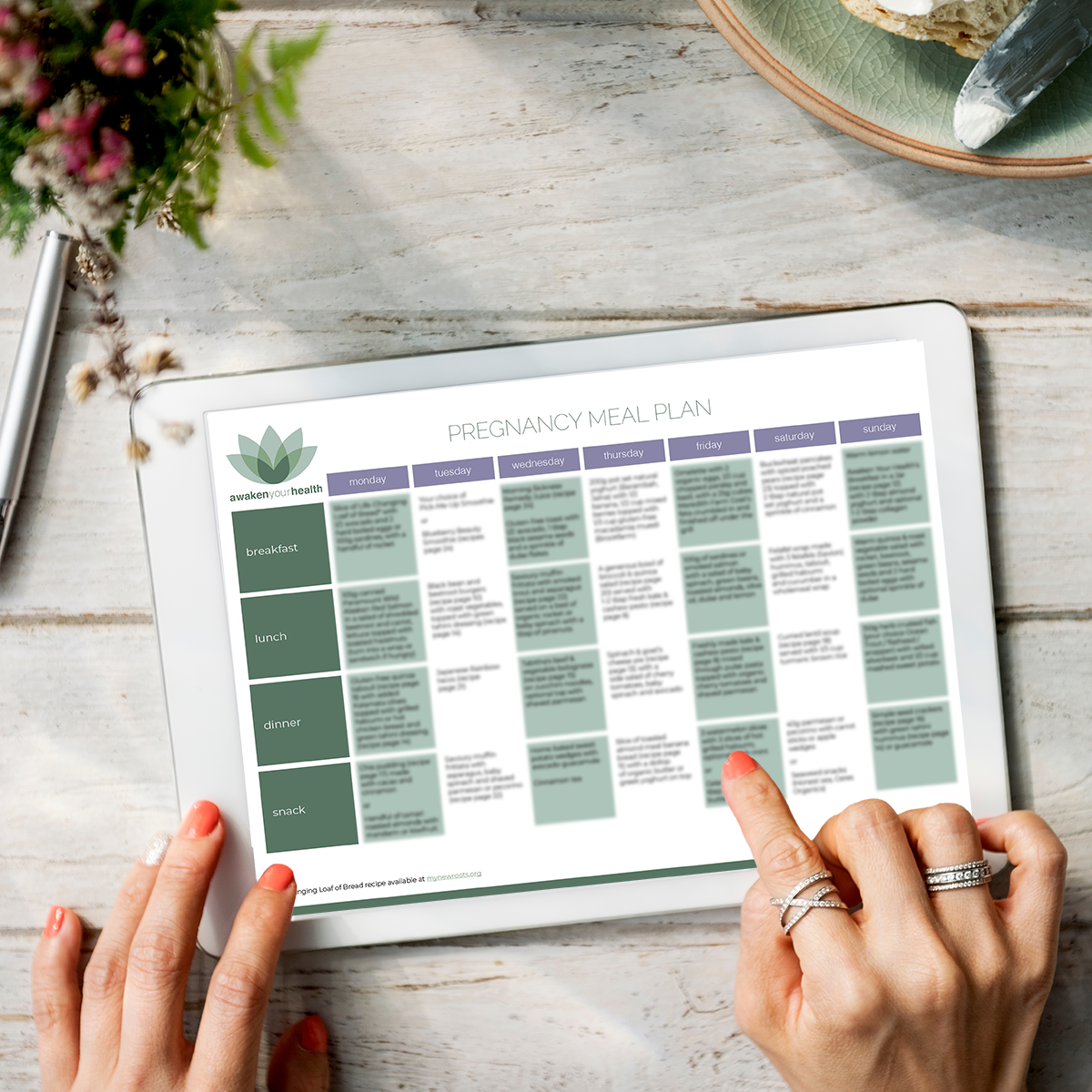 Your Empowered Pregnancy eBook (with meal plan)