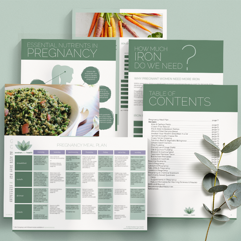 Your Empowered Pregnancy eBook (with meal plan)
