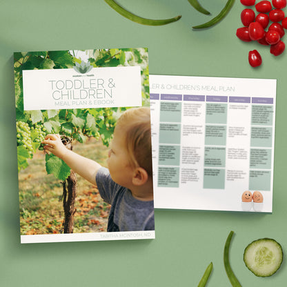 Toddler & Children's eBook & Meal Plan